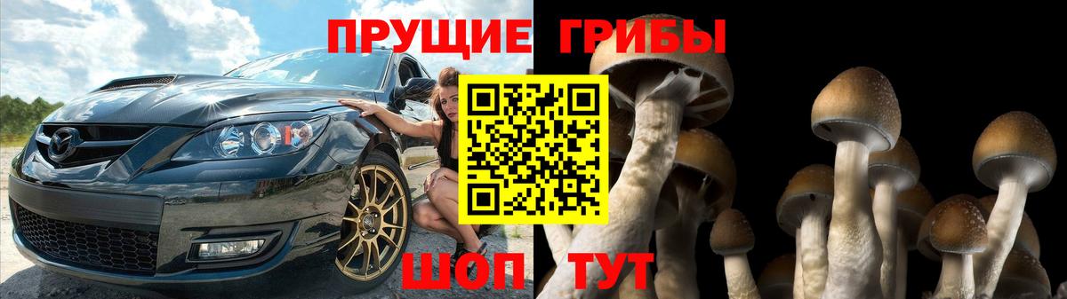 Красноармейск  Галлюциногенные грибы мухоморы  Вход с VPN 